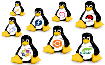 Hangi Linux Dağıtımı Size Uygun?